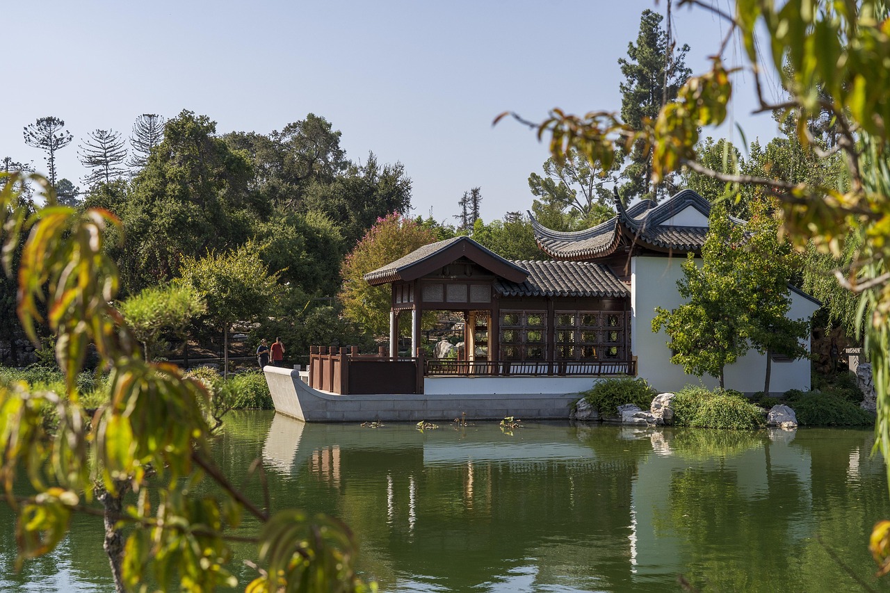 Asian Heritage Egg Donation: Building Families with Cultural Connection