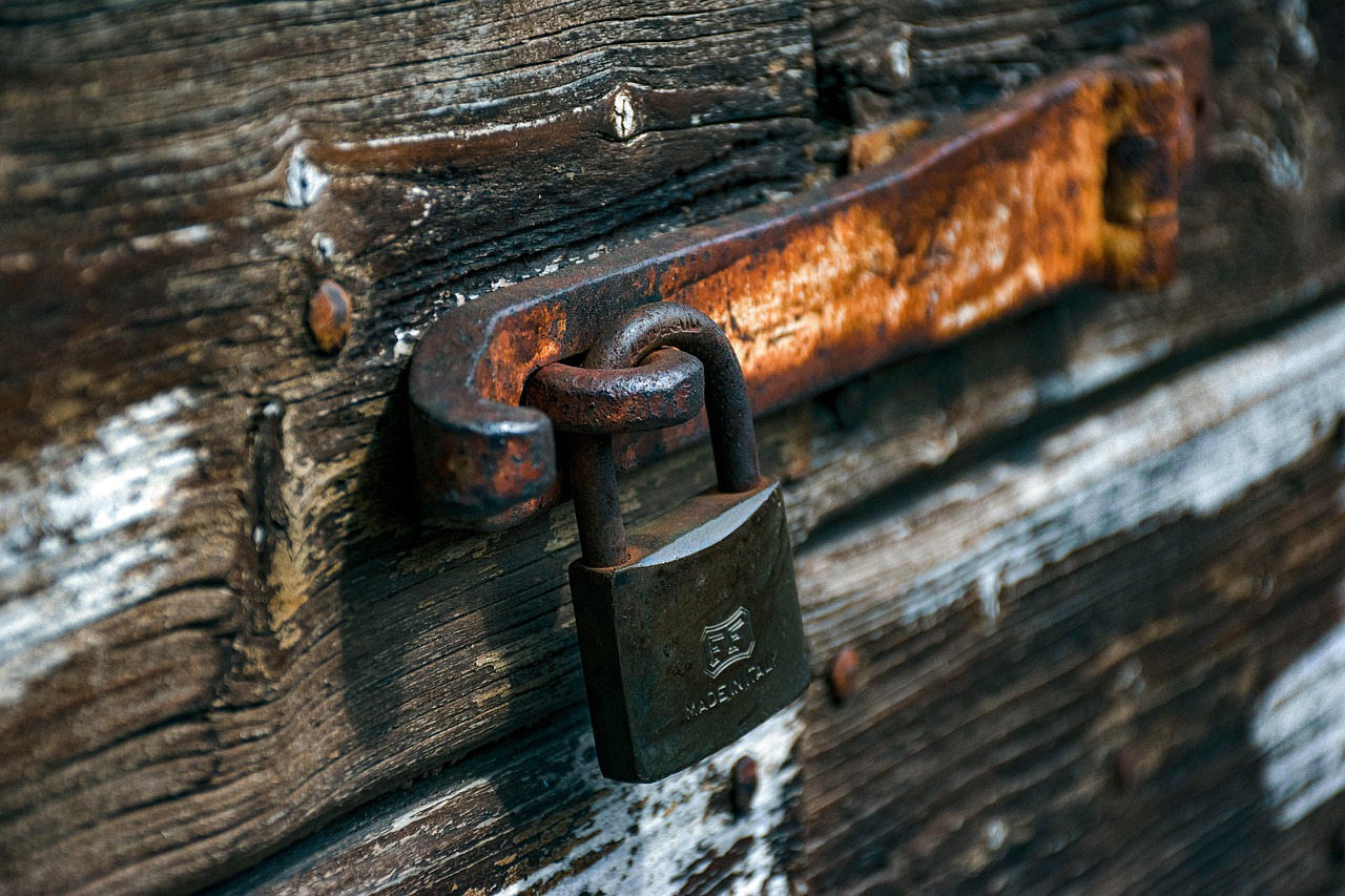 The Ultimate Security Upgrade: Forced Entry Resistant Doors